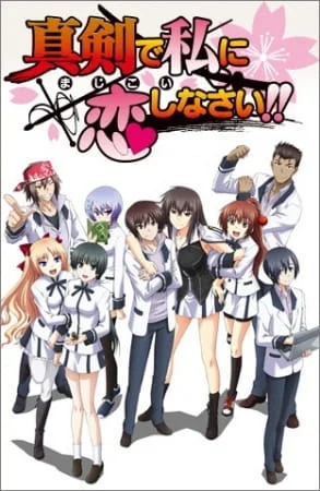 Majikoi: Oh! Samurai Girls Poster