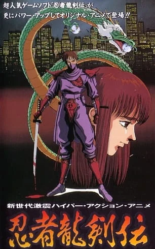 Ninja Gaiden Poster