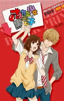 Ookami Shoujo to Kuro Ouji Recap Poster