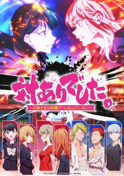 Young Ladies Don't Play Fighting Games Poster